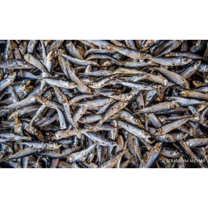 

Ikan Asin Rebus Medan