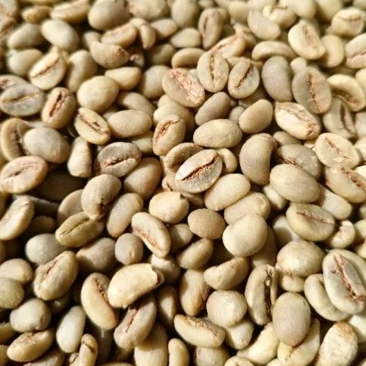 

Biji Kopi Luwak Liar Mentah 1kg (Greenbean) dominan ROBUSTA