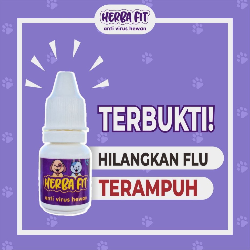 Obat Flu pilek Kucing Anjing Ampuh