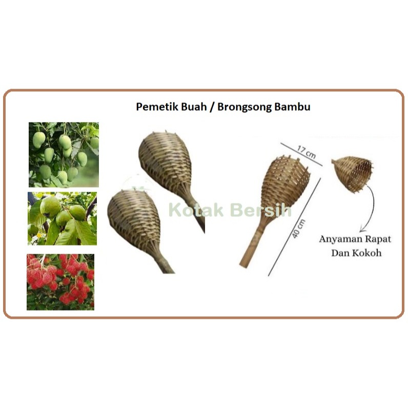 Pemetik Buah | Alat Petik Buah Bahan Bambu | Brongsong Bambu Berkualitas