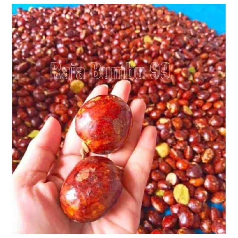 

Jengkol Super