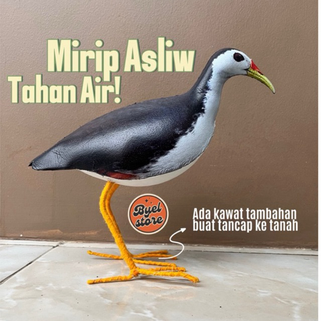 Patung pemikat burung ruak ruak kareo padi
