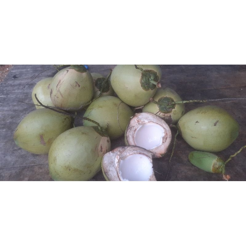 

Kelapa Muda Pantai Selatan rasa Maniss...