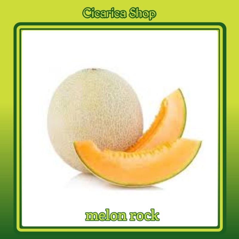 

Buah Melon Rock fresh Manis
