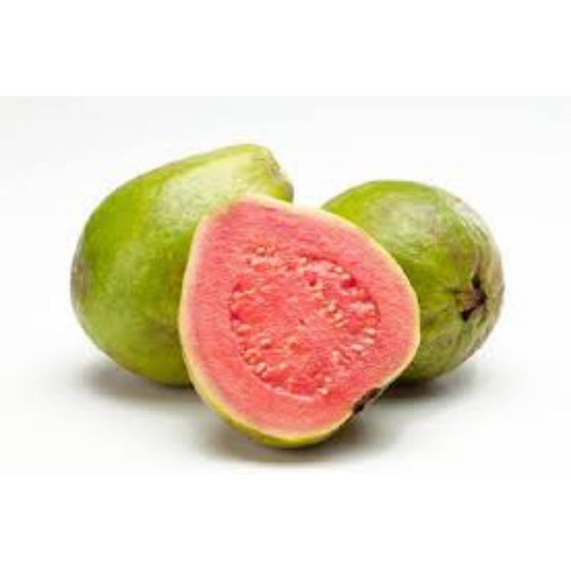 

GUAVA / JAMBU BIJI MERAH - SERBA BUAH