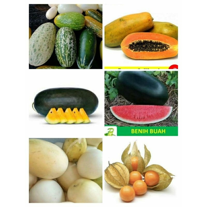

BENIH BUAH BUAHAN PAKET MURAH