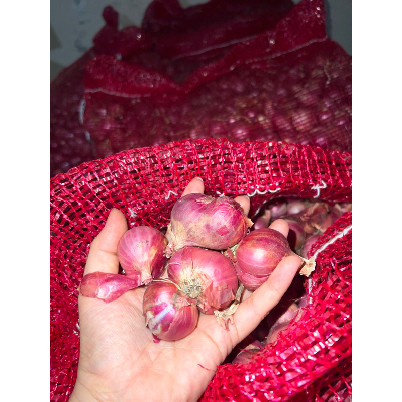 

BAWANG MERAH BIMA )1kg