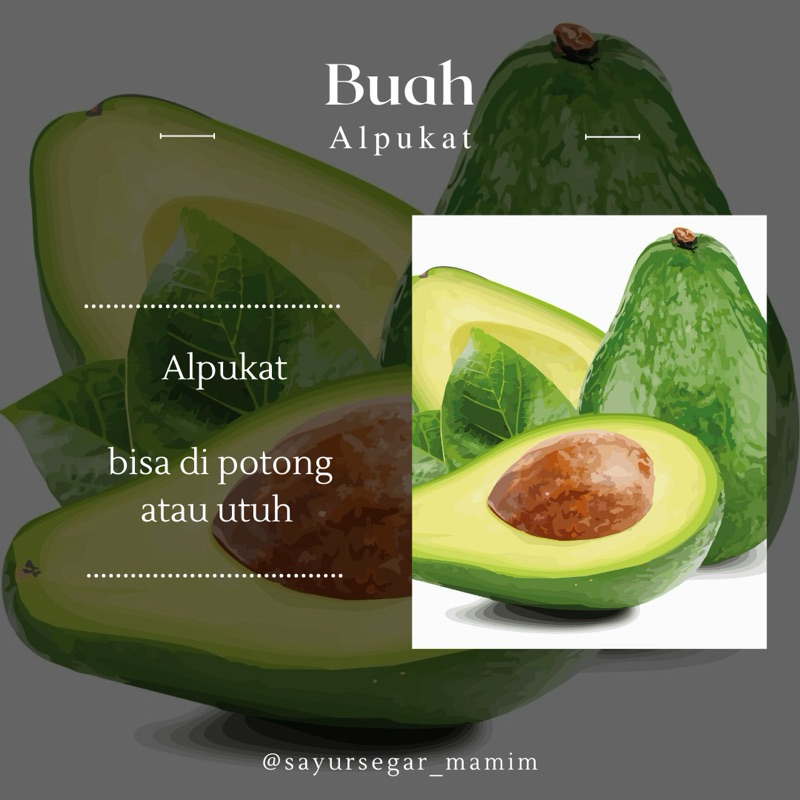 

buah alpukat