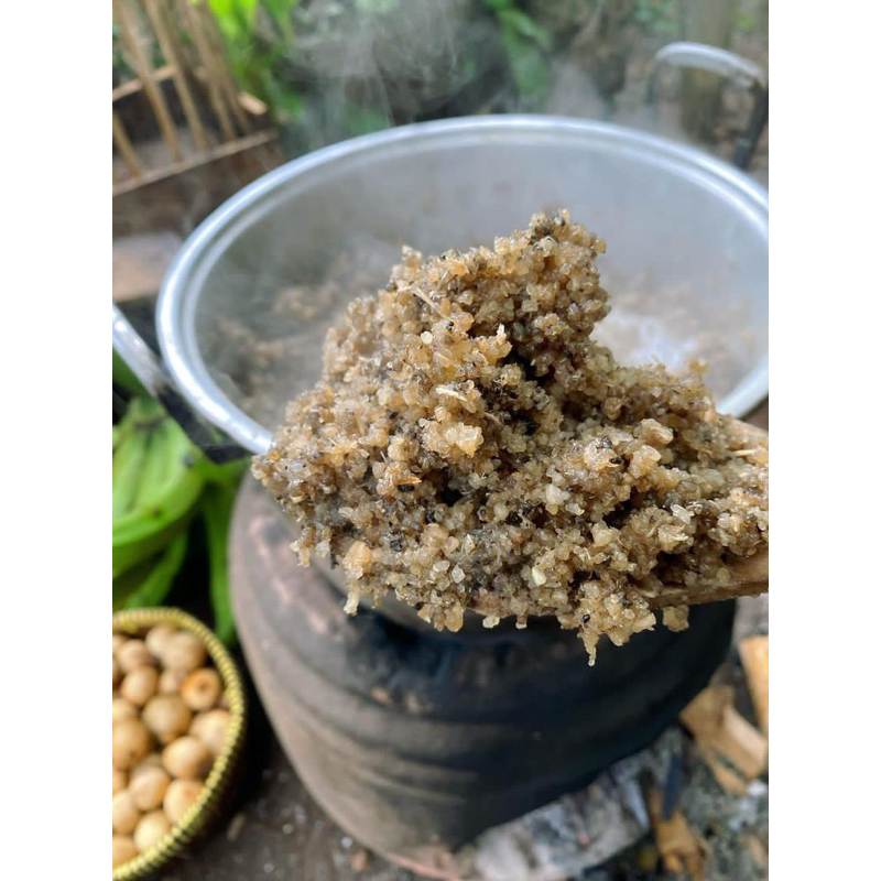 

TIWUL SINGKONG ALAMI ASLI 2 ONS