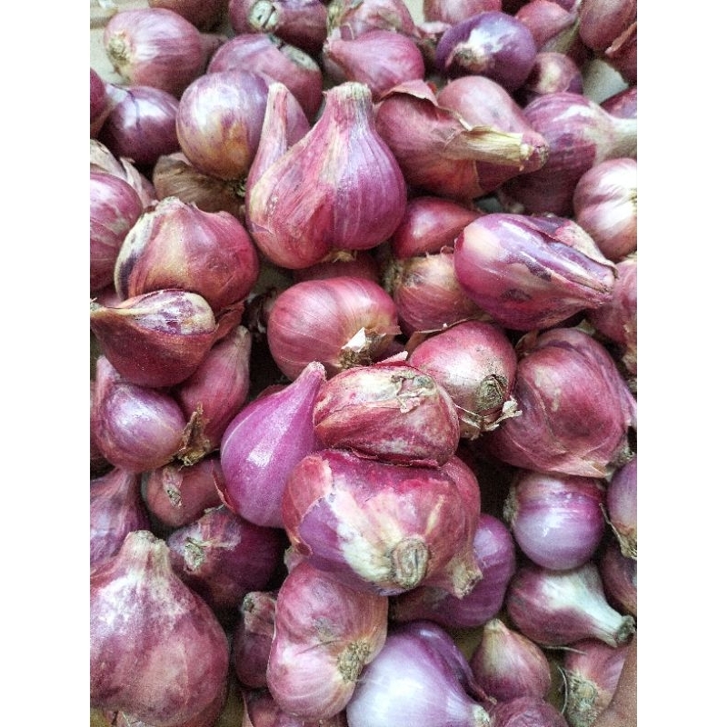 

Bawang Merah Super Isi 1 kg // Bawang Merah Murah // Bawang merah Brebes // Bawang Merah Probolinggo // Bawang Merah Nganjuk // Bawang Merah Premium