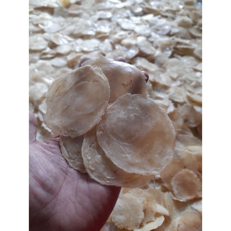 

Sekar_Shop07 Emping Melinjo Kebumen Full Kering Uk Besar Per 1Kg(Biji 4-5)