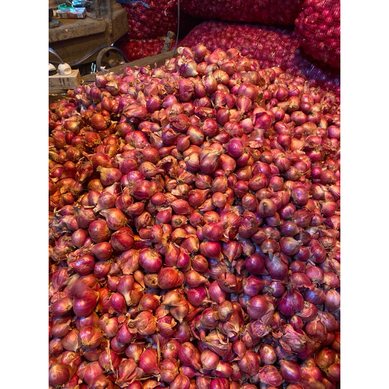 

bawang merah brebes