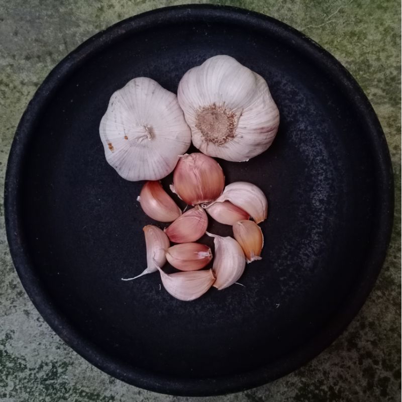 

BAWANG PUTIH / BAWANG PUTIH PREMIUM / BAWANG PREMIUM / BAWANG PUTIH MURAH