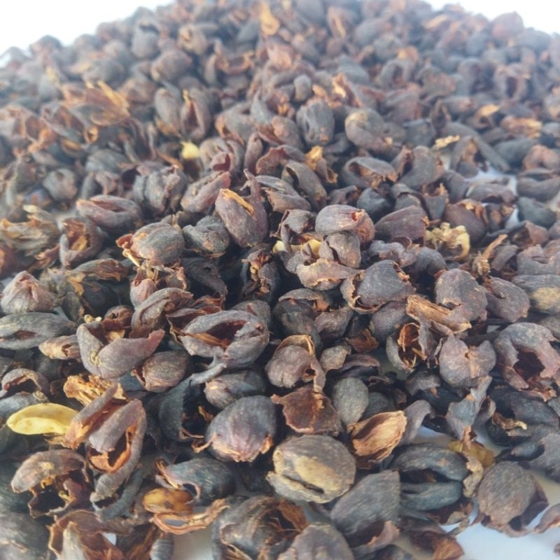 Cascara Tea Coffee