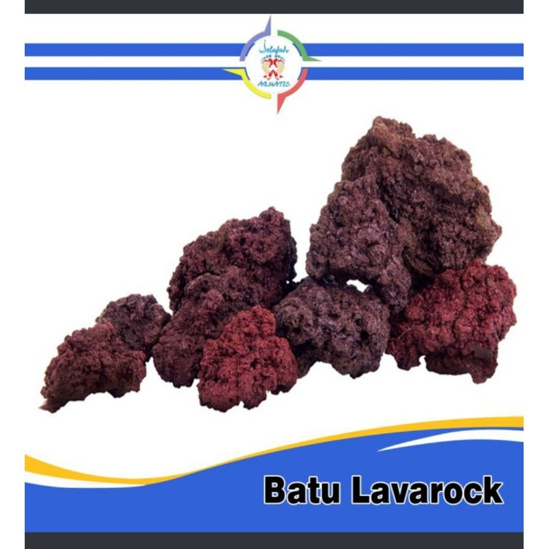 Batu Lava Rock (Batu Vulkanik) Alami – Media Filter & Hardscape Aquascape
