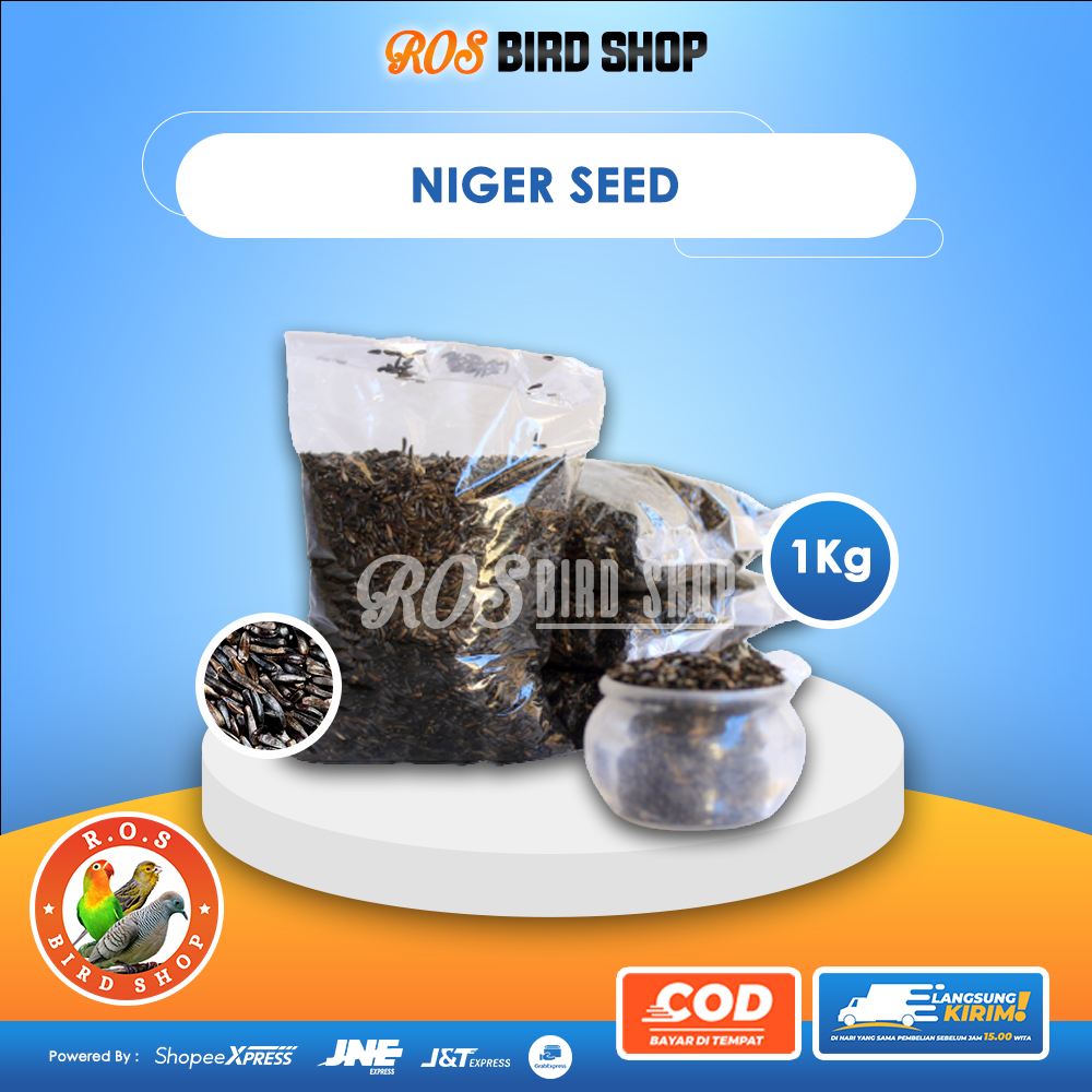 1KG Niger Seed Pakan Burung LOVE BIRD KENARI BERSIH Sudah Dicuci dan Ditampi