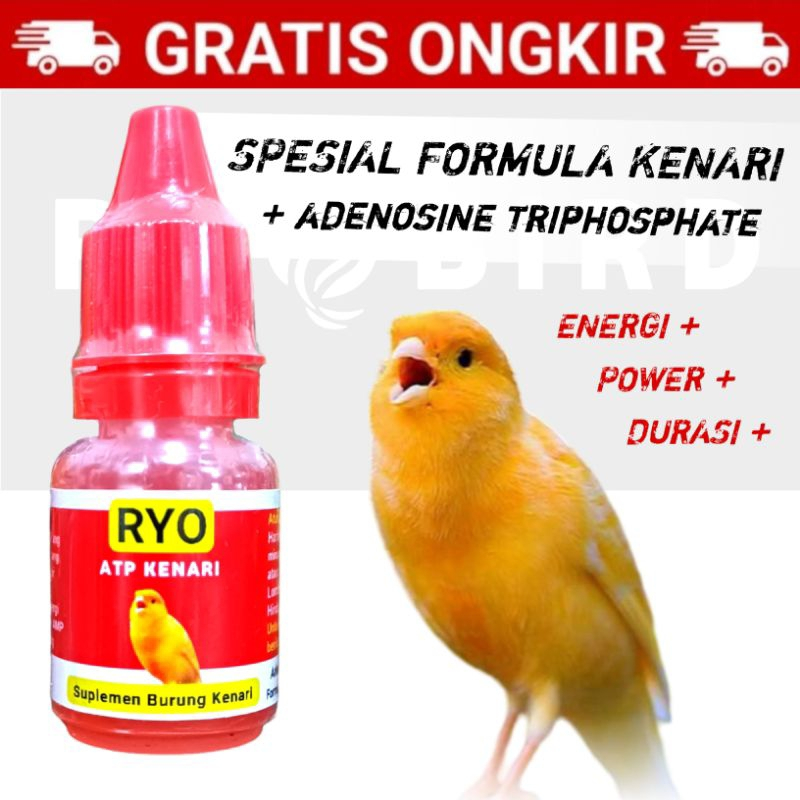 RYO ATP KENARI Suplemen ATP Vitamin Burung Kenari Finch Sanger Blacktroath