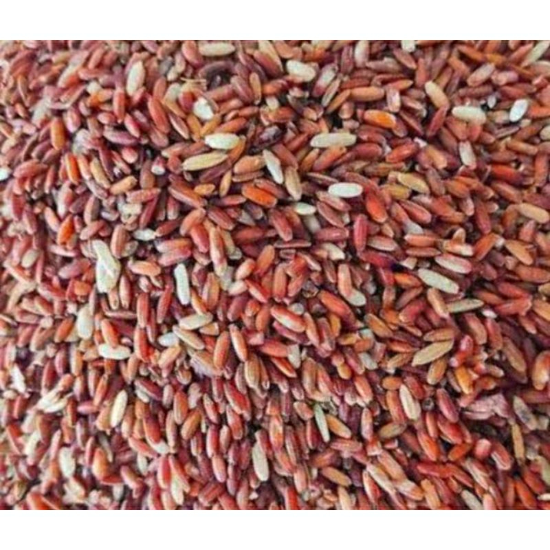 Beras Merah Pakan Ayam Burung