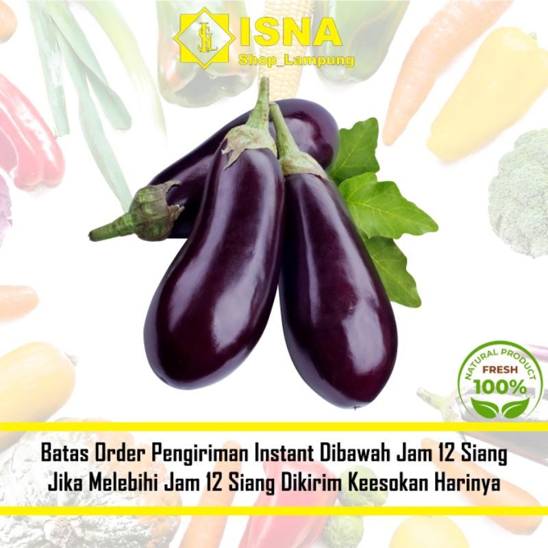 

Terong Ungu Sayur Segar 1 kg