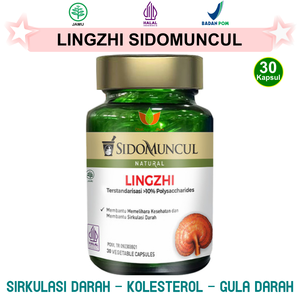 30 KAPSUL JAMUR LINGZHI SIDOMUNCUL, JAMU OBAT HERBAL DARAH TINGGI, KOLESTEROL, GULA DARAH, SIRKULASI