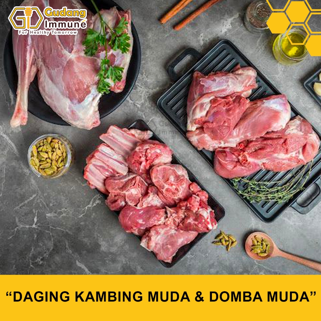 

Daging Kambing Muda Dan Daging Domba Muda , HALAL Fresh - Gudang Immune