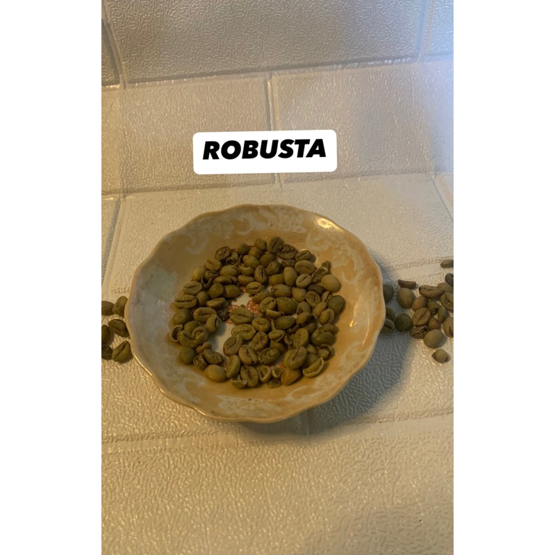 

Green bean robusta muncar gemawang temanggung