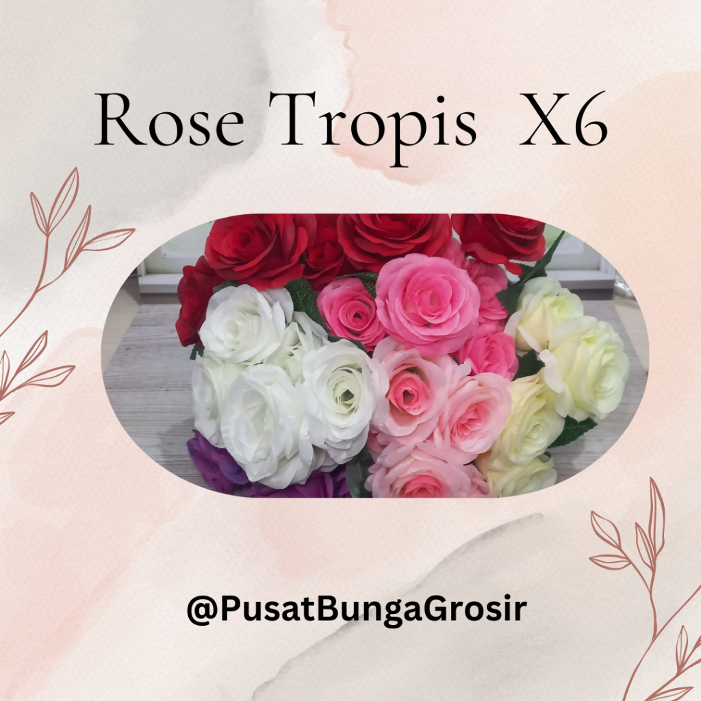 Bunga Mawar Rose Tropis Cabang 6 / Ecer RT6