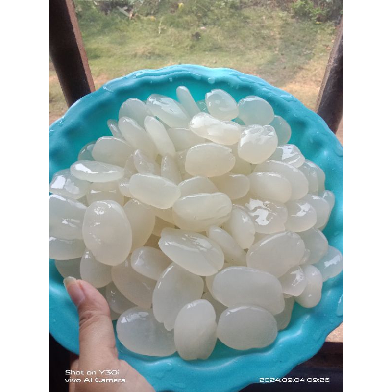 

kolang Kaling atau caruluk 1kg