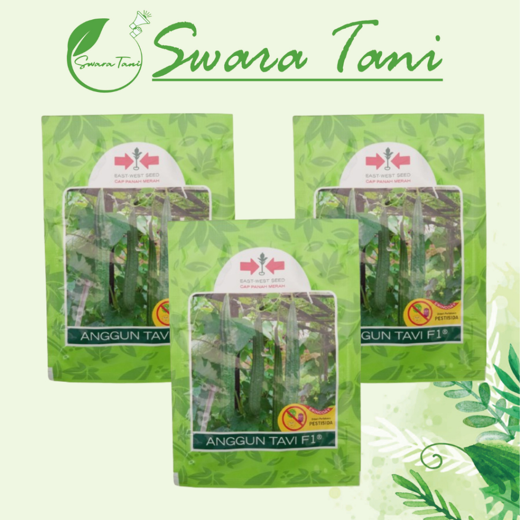 Benih Bibit Oyong Gambas Hibrida ANGGUN TAVI F1 75 Biji