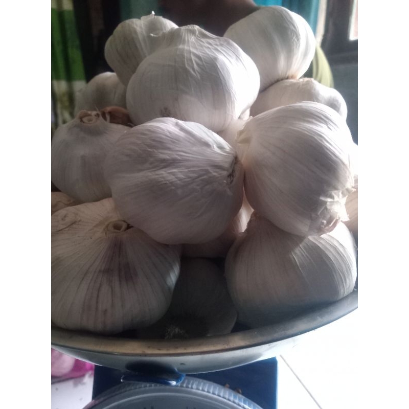 

bawang putih segar 1kg murah