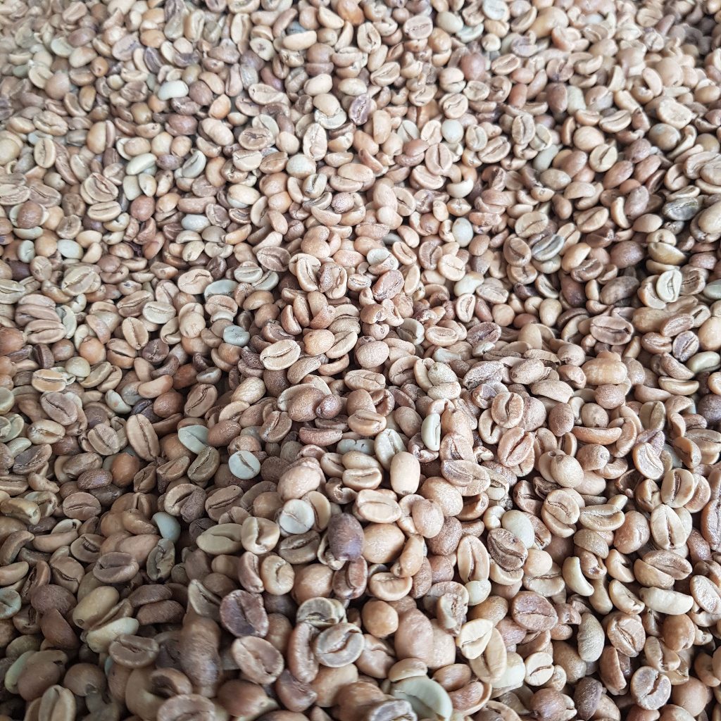 

Biji Kopi Arabika Puntang Wine Anaerob Green bean Arabica Coffee