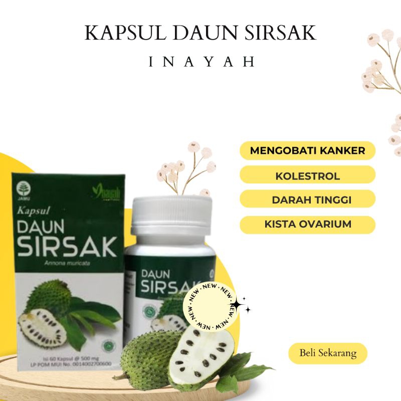 

Kapsul ekstrak Daun sirsak segar herbal organik isi 60pcs