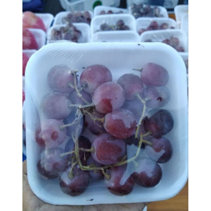 

Anggur thailand seger 500g