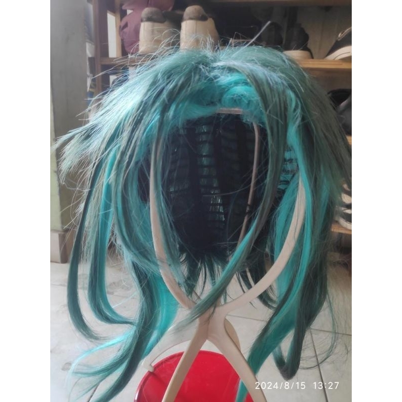 wts wig & costume cosplay