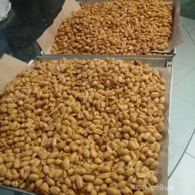 

kacang Bawang