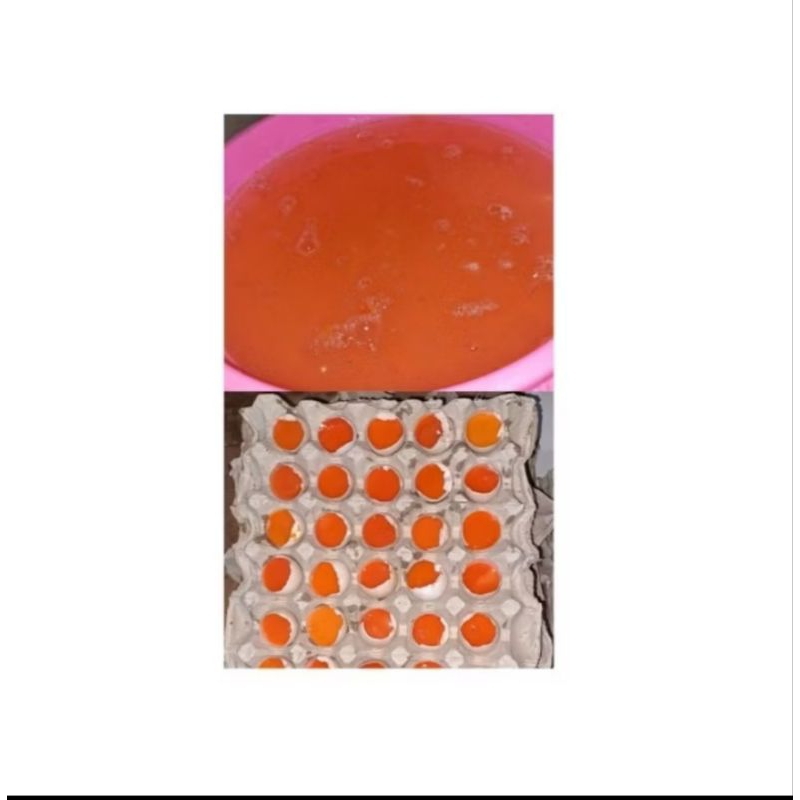 

Putih telor ayam kampung omega 500gram