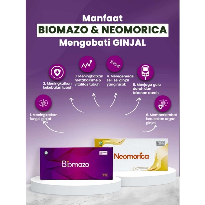 biomazo original obat herbal mengatasi gagal ginjal prostat.dapat mengatasi kanker