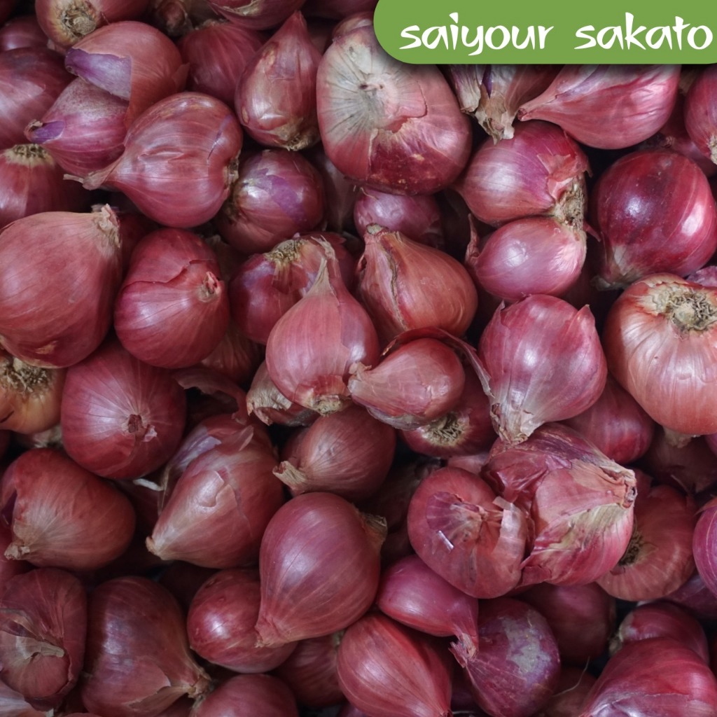 

Bawang Merah East Java 250gr - Saiyour Sakato