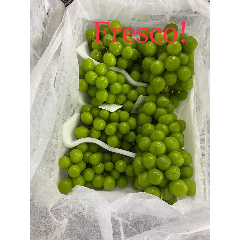 

Anggur Muscat/ Anggur Hijau - Muscat 1kg