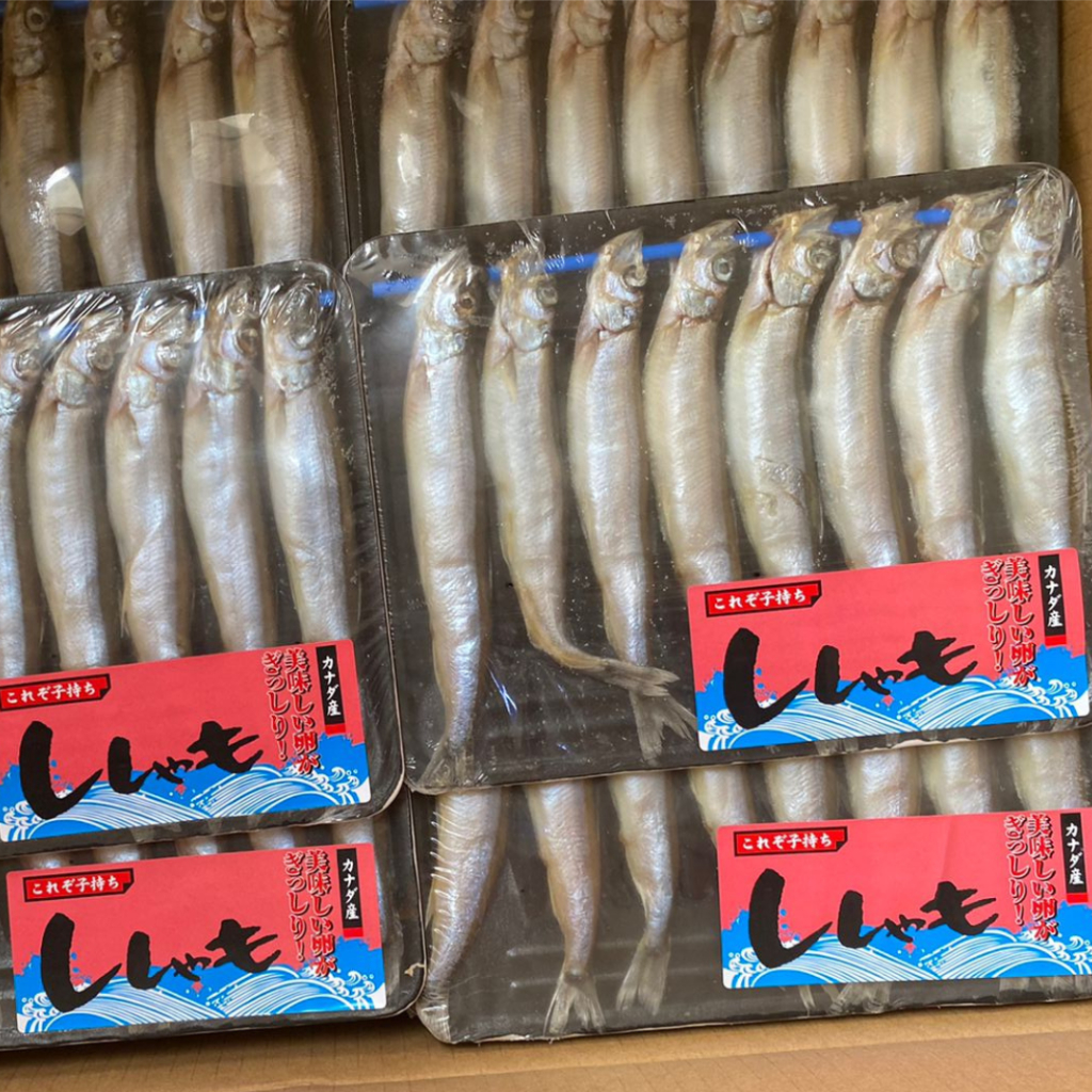 

Ikan Shisamo Beku isi 8 ekor per pack