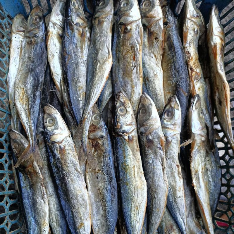 

Ikan Asin Klotok / Pindang Asin