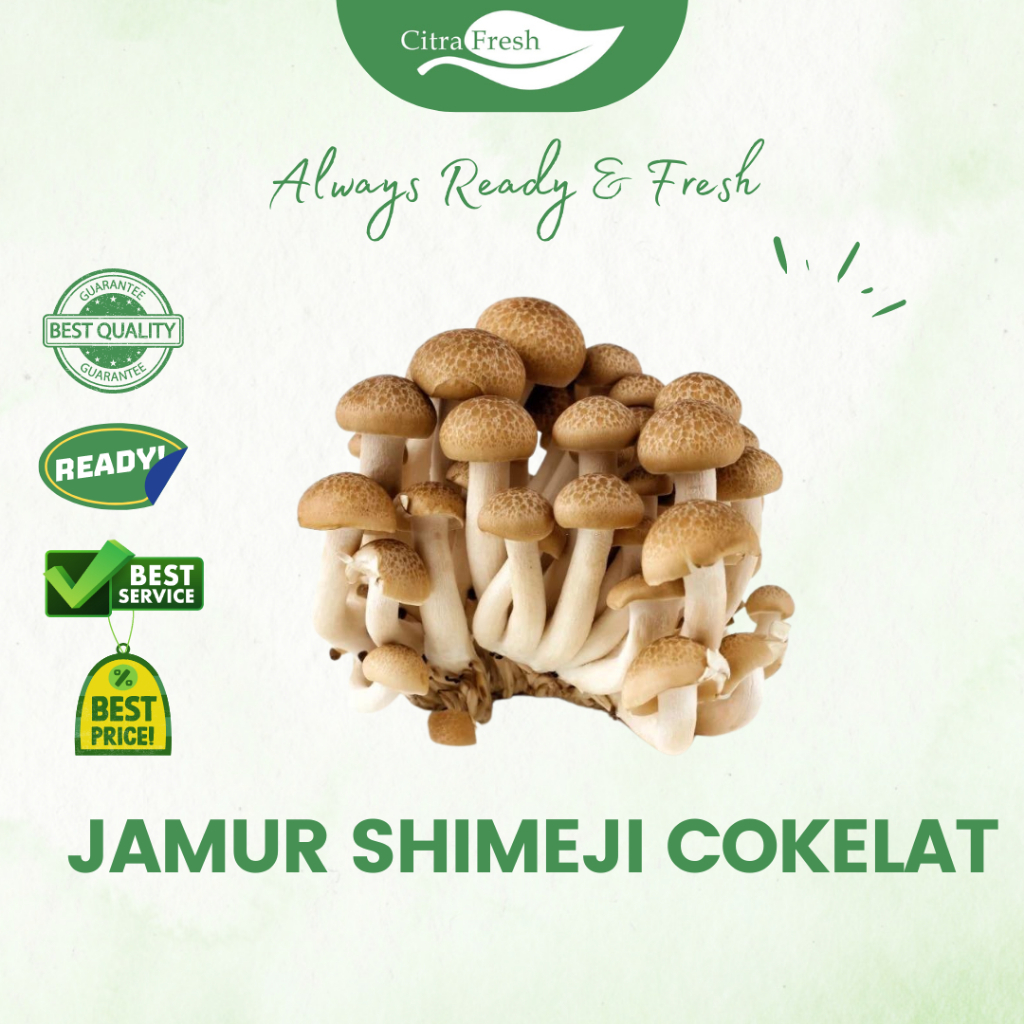 

CITRA FRESH - Jamur Shimeji Cokelat 1 Box isi 40 Pcs - Selalu Ready dan Fresh