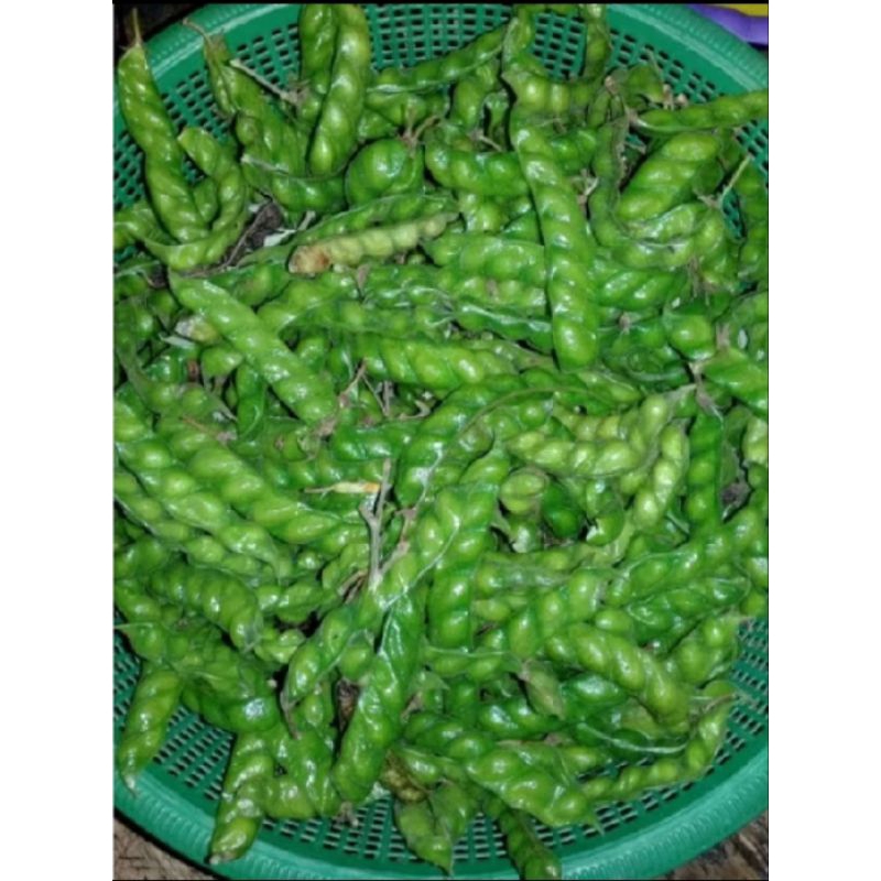 

promo hiris 60 gram segar