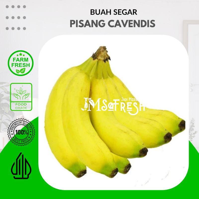 

[JM_SoFresh] Buah Pisang Cavendis Lokal Konvensional Harga Per Sisir