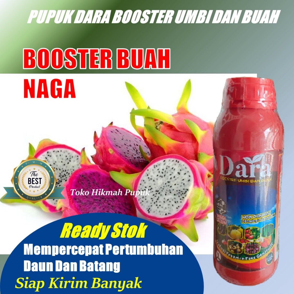 PUPUK DARA isi 500 ML Pupuk Semprot Pelebat Tanaman Buah Naga- Pupuk Perangsang Pada Tanaman Buah Na