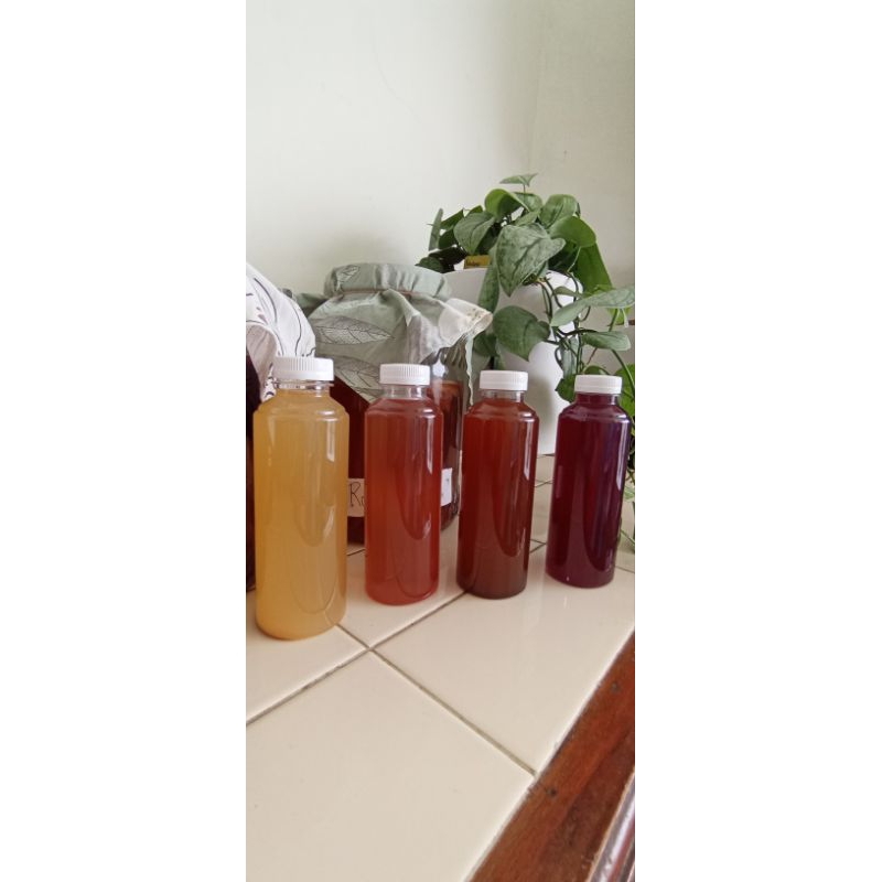 

Coffee Kombucha