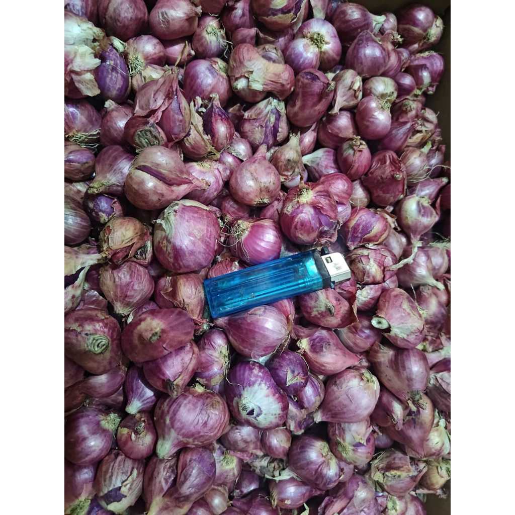 

Bawang merah besar 500gr