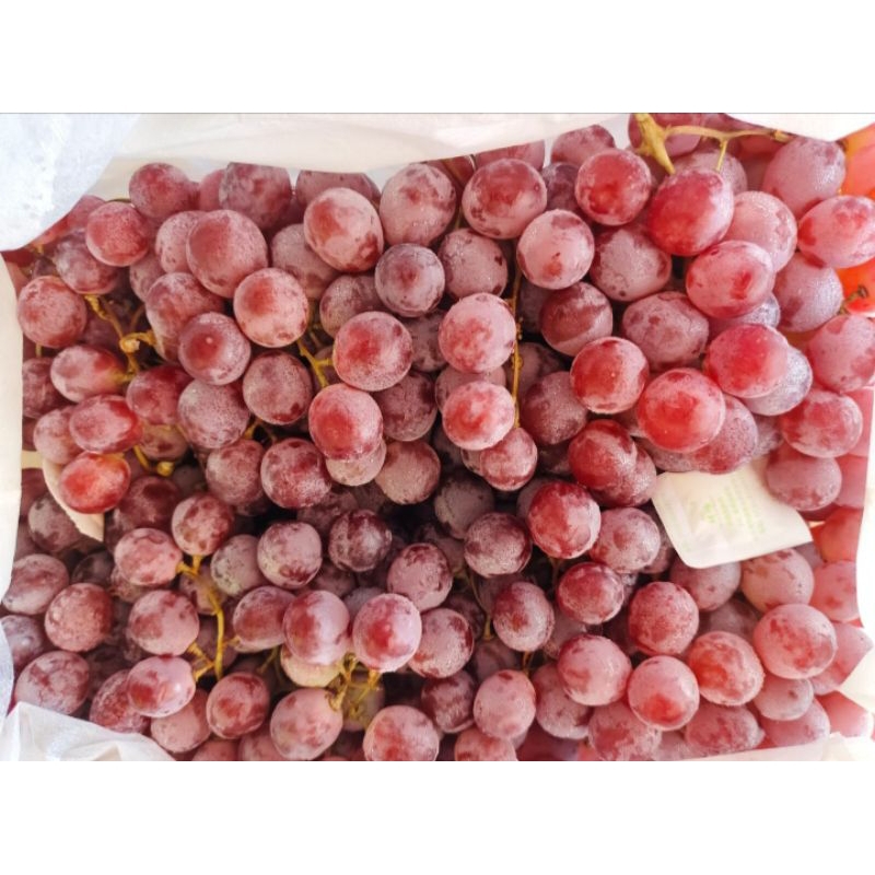 

BUAH ANGGUR RED CHINA 1kg