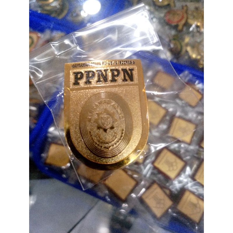 pin ppnpn