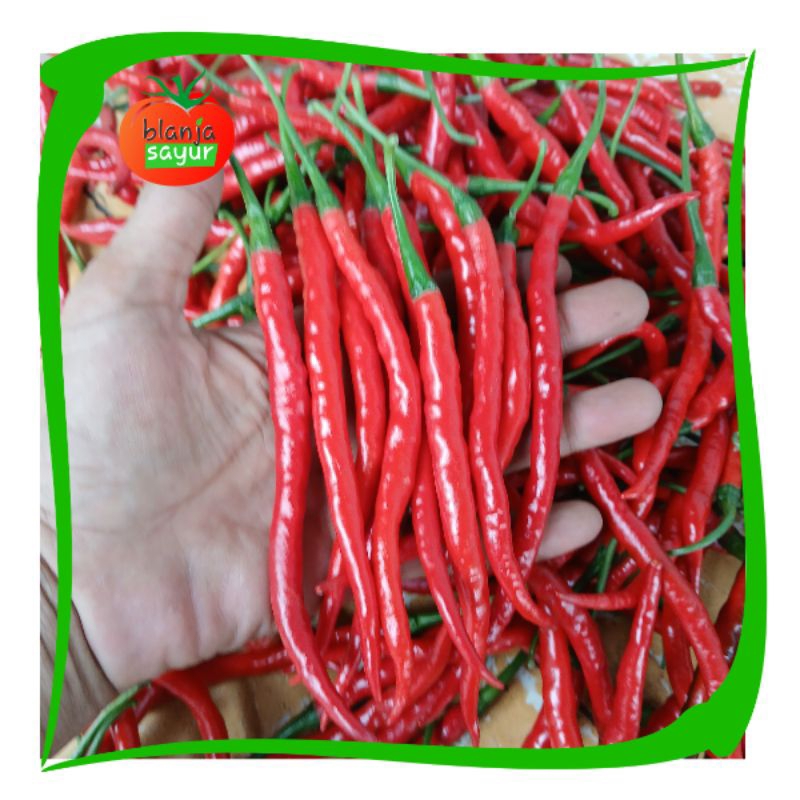 

Cabe Merah | sayur online